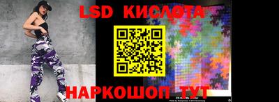 мет Кингисепп