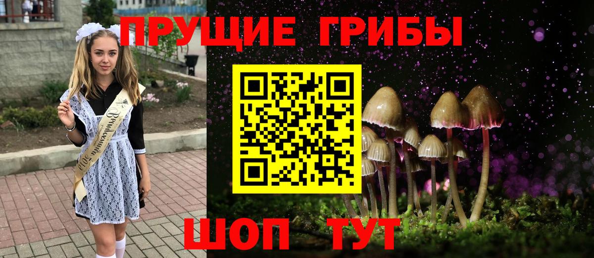Галлюциногенные грибы прущие грибы Мариинск